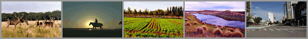 Turismo Rural - Estancias - Cotos de Caza - Termas - Santa Rosa